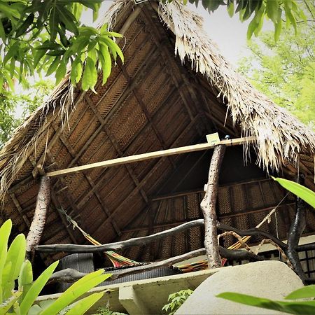 Villa Cata Hotel エル・ザイノ エクステリア 写真