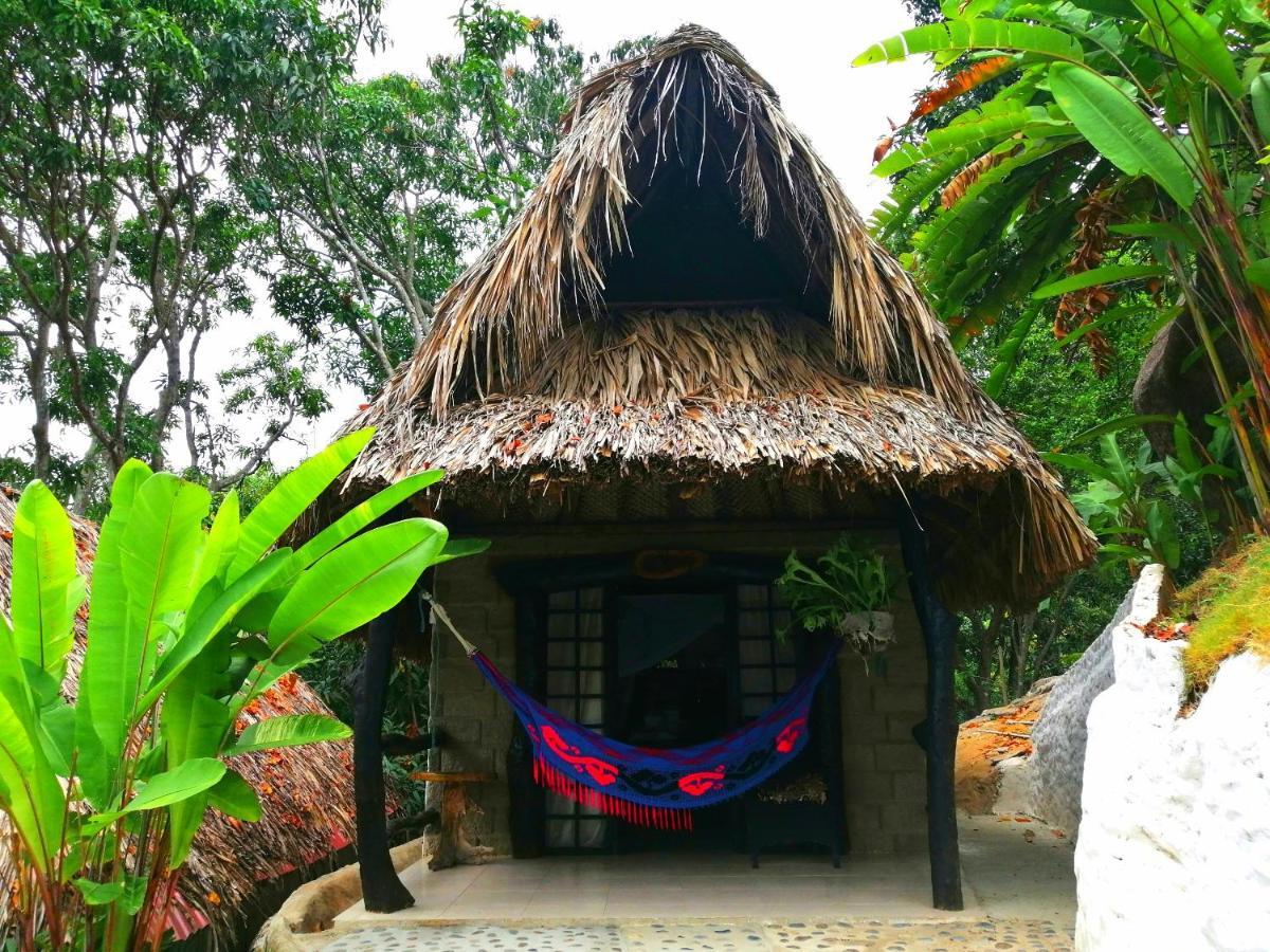Villa Cata Hotel エル・ザイノ エクステリア 写真