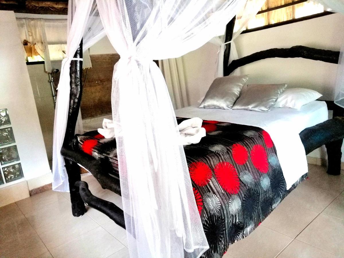 Villa Cata Hotel エル・ザイノ エクステリア 写真