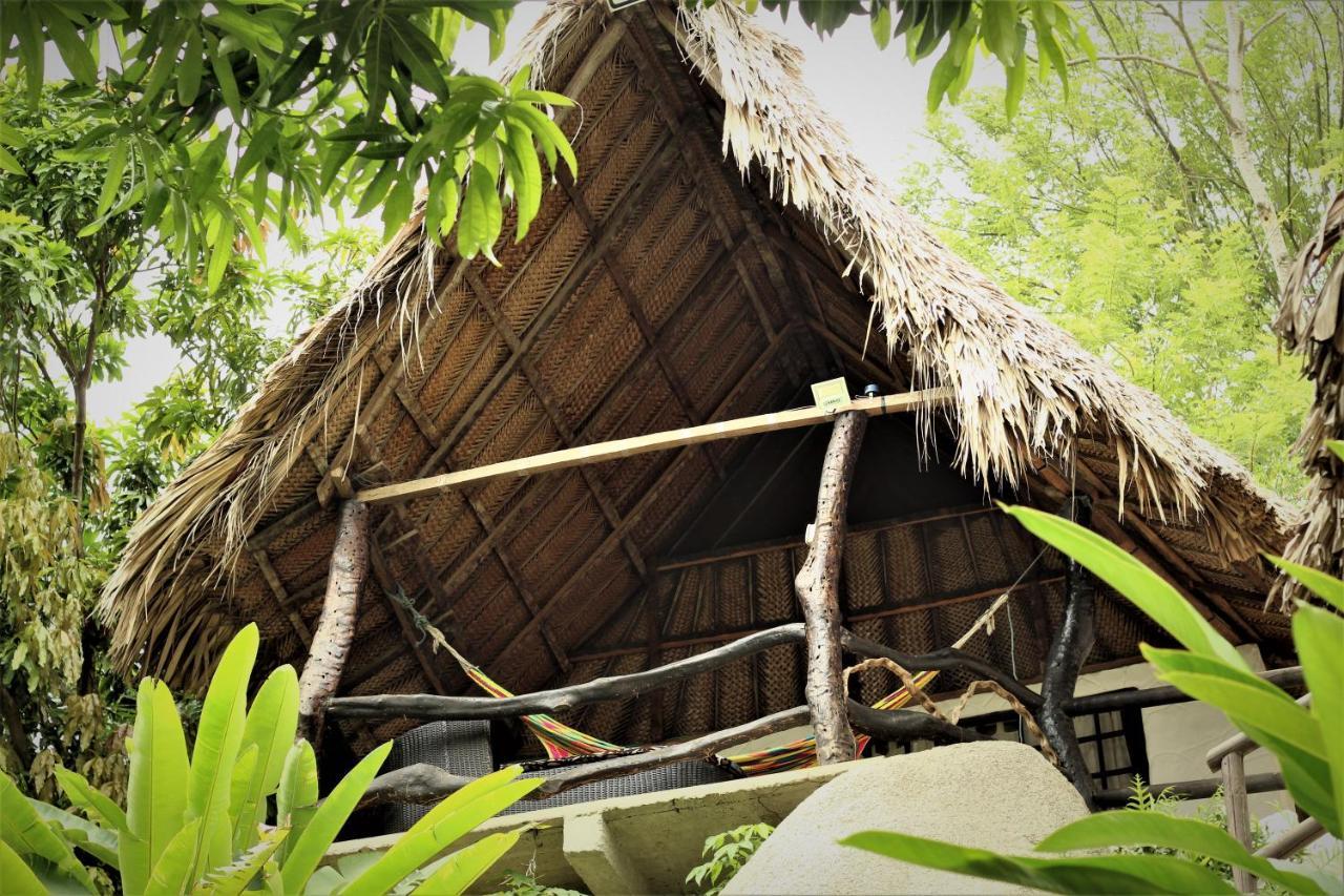Villa Cata Hotel エル・ザイノ エクステリア 写真