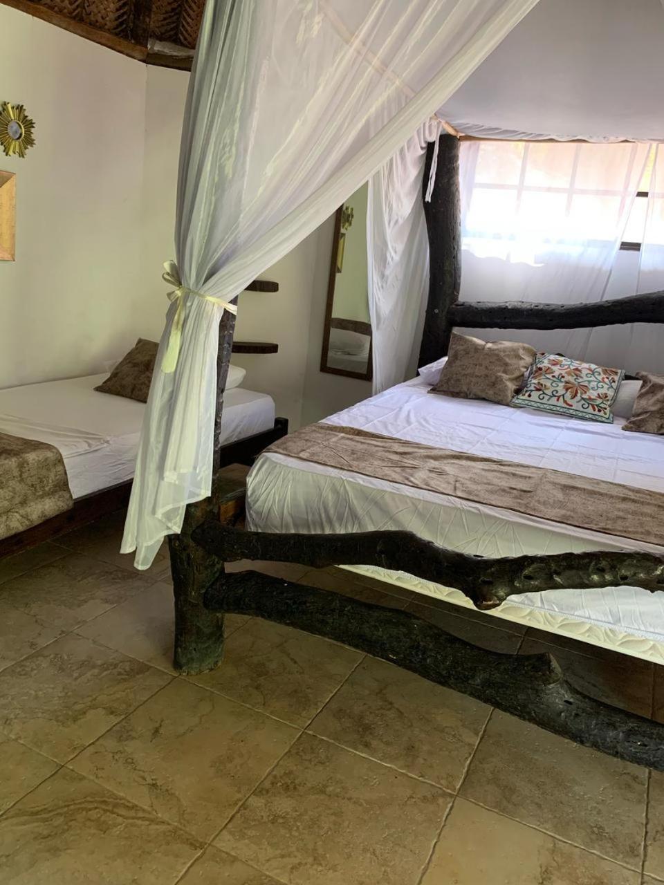 Villa Cata Hotel エル・ザイノ エクステリア 写真