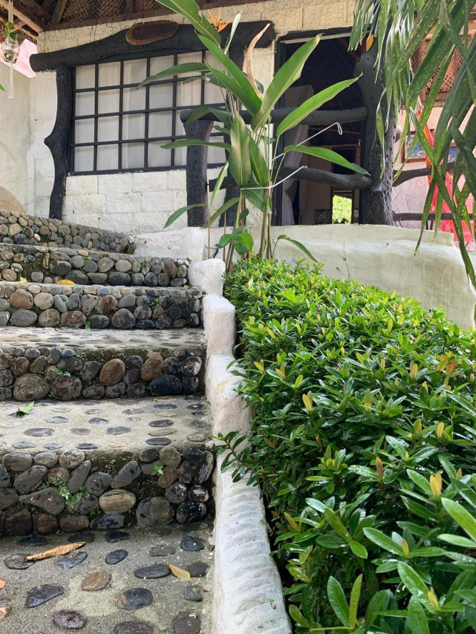 Villa Cata Hotel エル・ザイノ エクステリア 写真