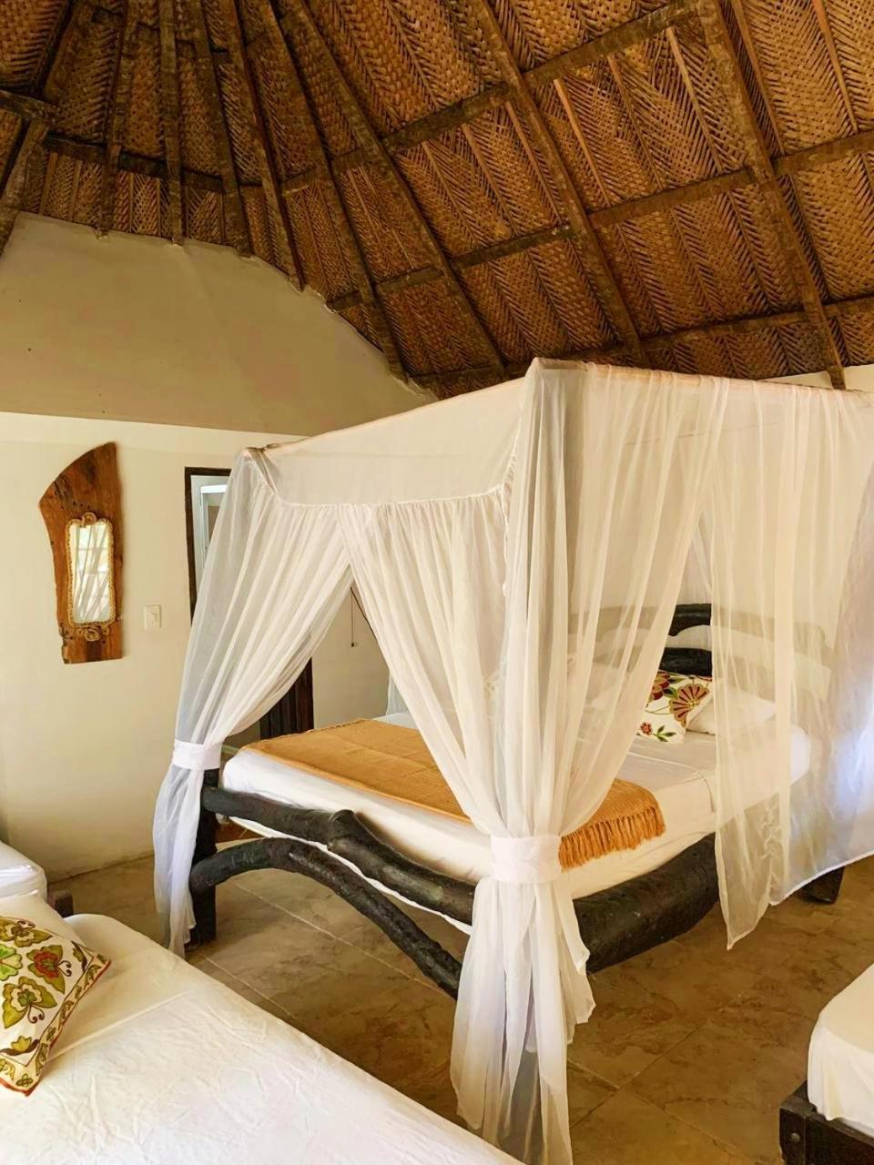 Villa Cata Hotel エル・ザイノ エクステリア 写真