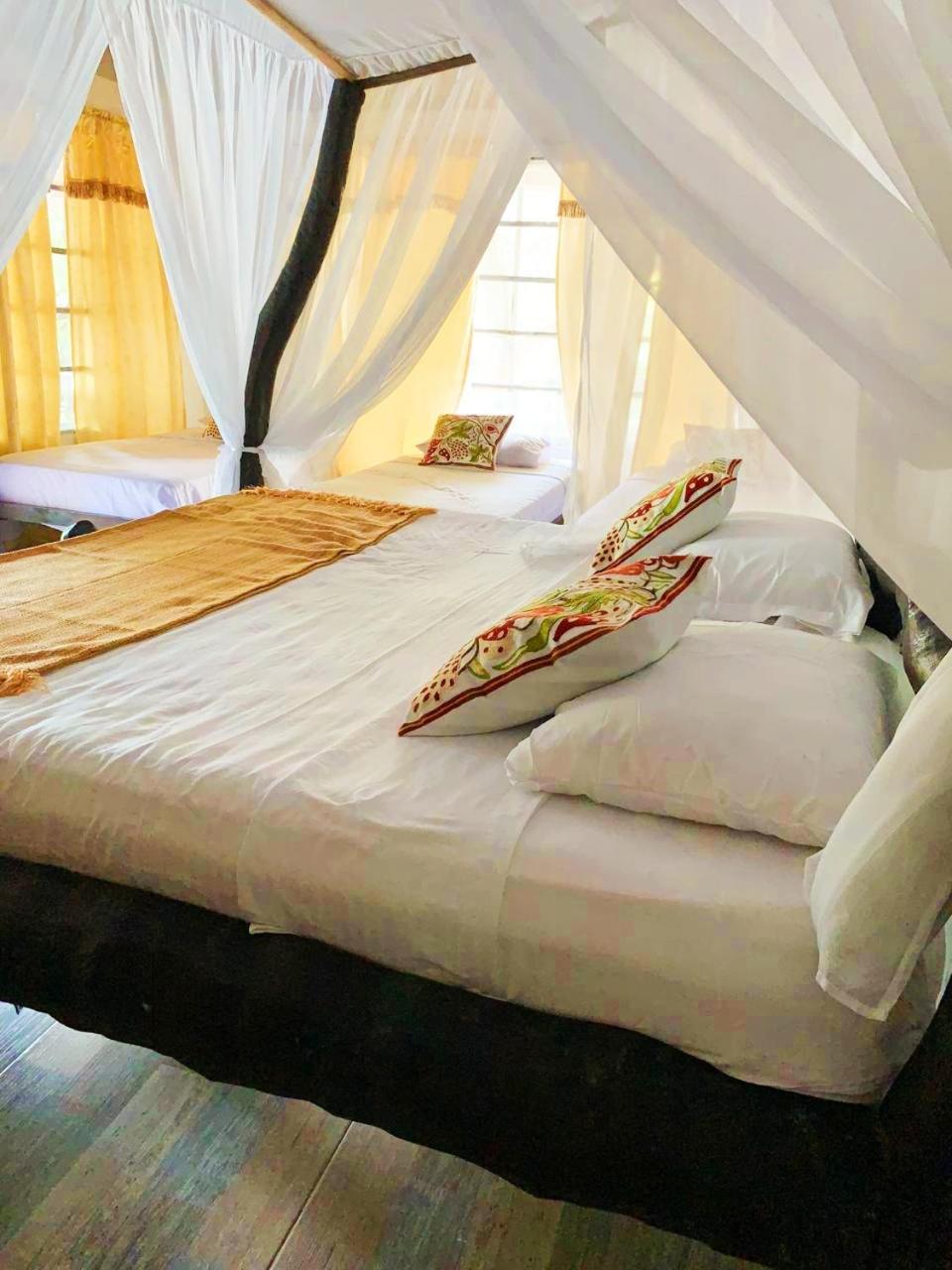 Villa Cata Hotel エル・ザイノ エクステリア 写真