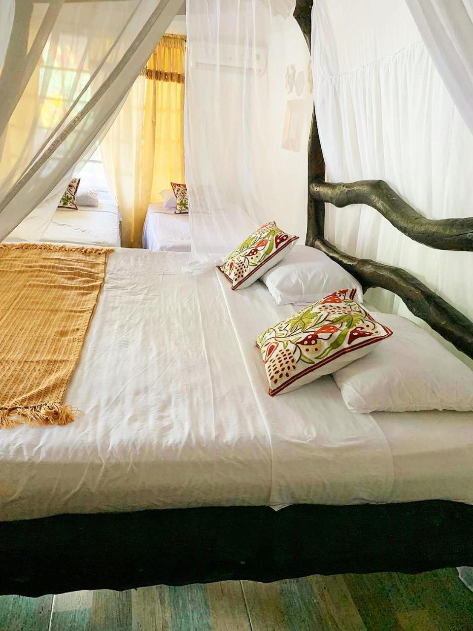 Villa Cata Hotel エル・ザイノ エクステリア 写真